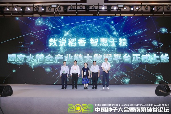 如何走稳中国“稻”路？科技赋能水稻全产业链发展