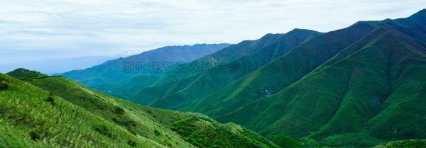 智慧护林有妙招，看太子山如何用科技守护森林