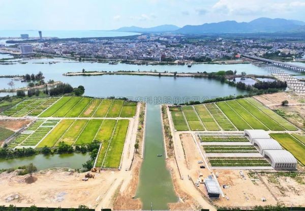 为盐碱地安上“技术芯片”，托普云农打造耐盐碱水稻科研试验基地建设解决方案