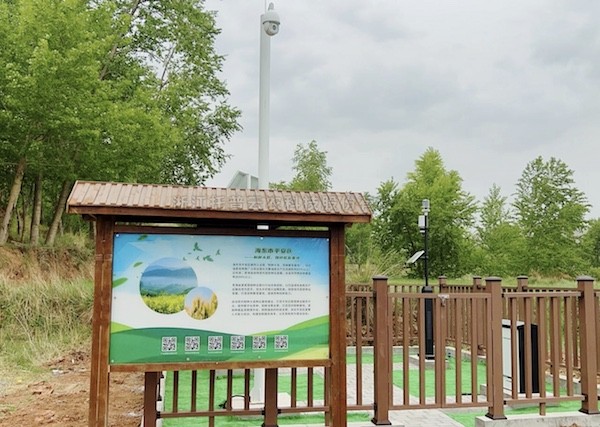 走进国家级油菜夏繁基地，感受科技赋能蓬勃动力