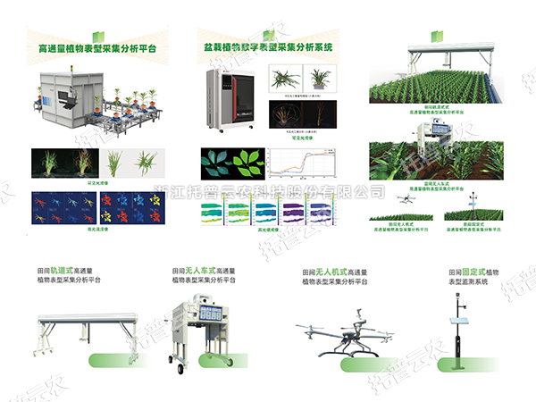AI+农业新突破！托普高通量植物表型智能分析平台助力智慧农业创新发展