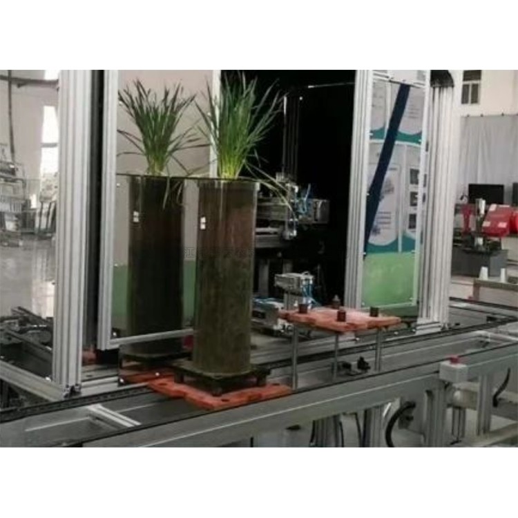 高通量植物根系表型采集分析系统（根筒式） TPN-GXY-GT