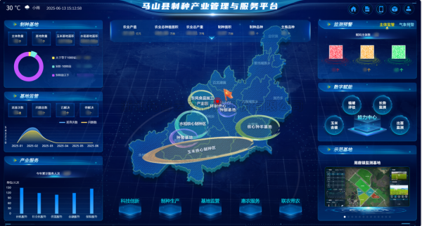 AI+农业 | 当种子植入“数智芯片”，马山县打造制种基地新标杆