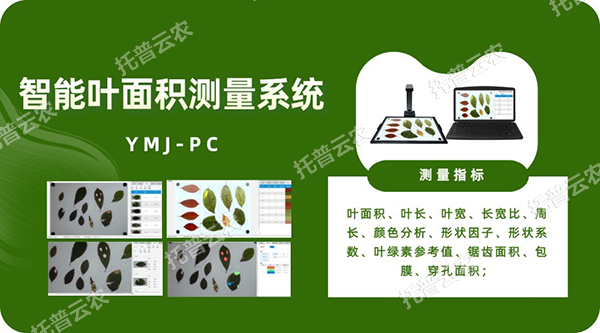 智能叶面积测量系统——秒级快速测叶片，多参数同步解析，云端数据好管理